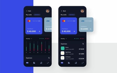 Finanza - Modello di schizzo di Card Manager