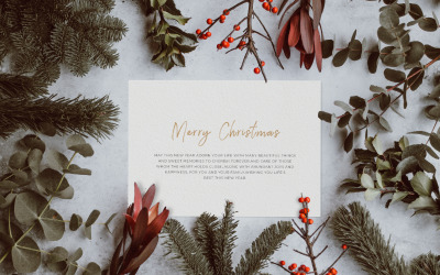 VSTK DSN Christmas product mockup