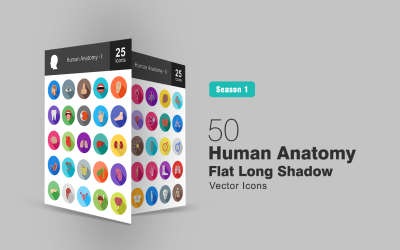 Conjunto de 50 ícones planos de longa sombra de anatomia humana