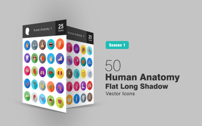 Sada ikon plochý lidský anatomie 50