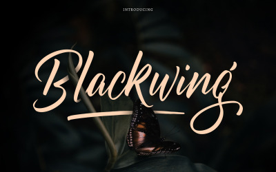 Blackwing | Custom Brush Lettering Kurzív betűtípus