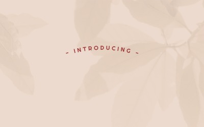 Xenia Urshina Font