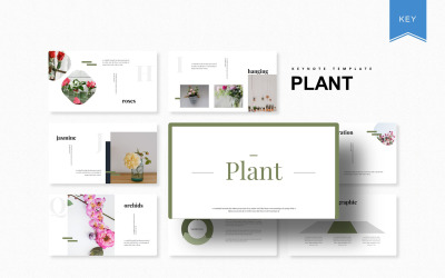 Plant - Keynote sablon