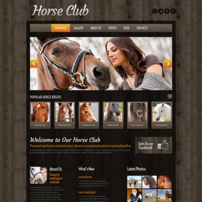 Horse Breeding Farm WordPress Theme