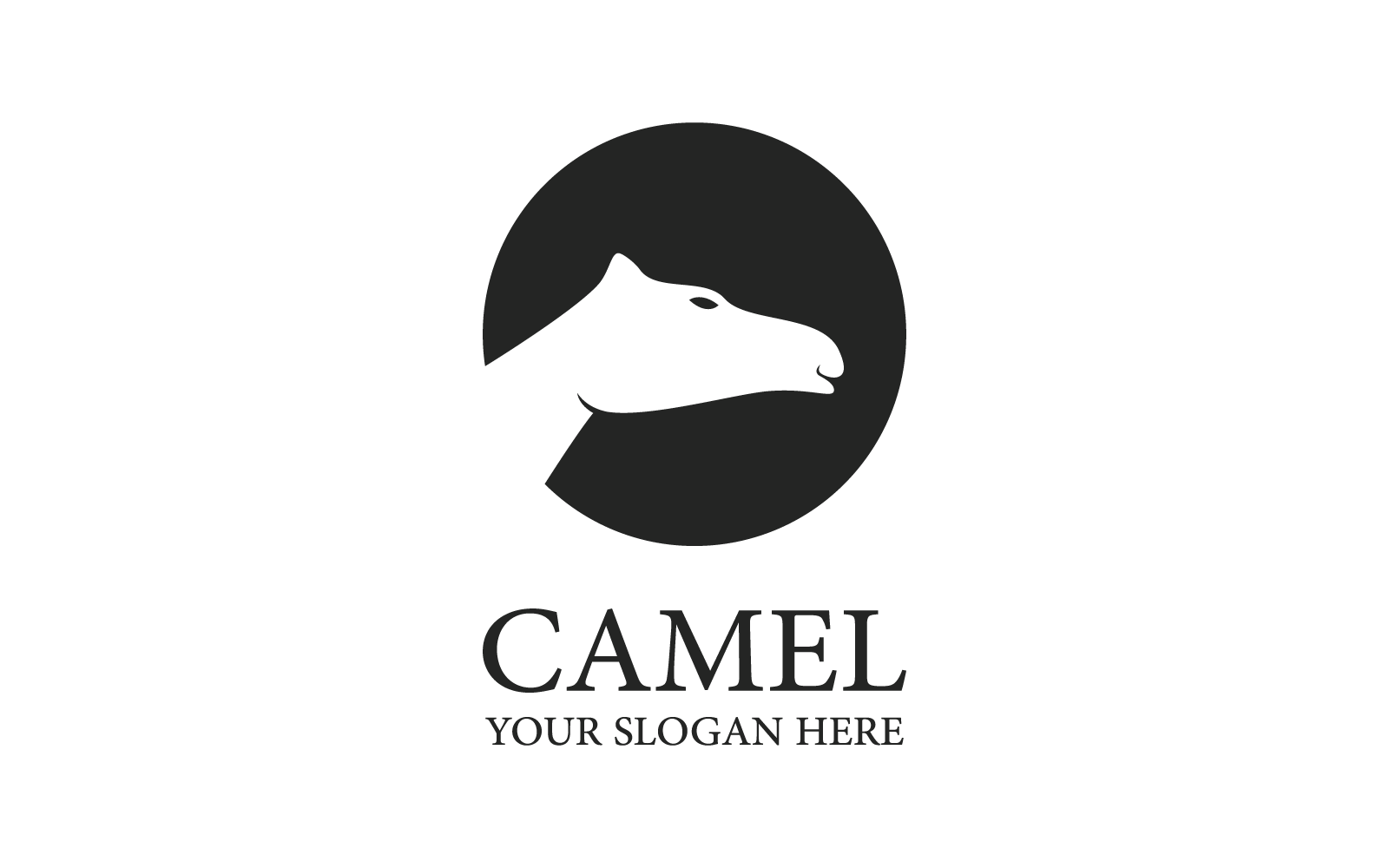 Camel illustration flat design logo template