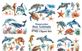 Hand drawn watercolor sea animals clipart illustration on transparent background