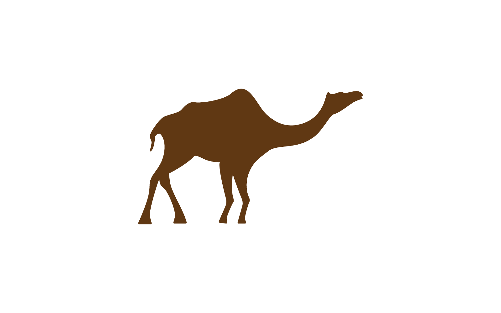 Modello vettoriale con logo cammello dal design piatto