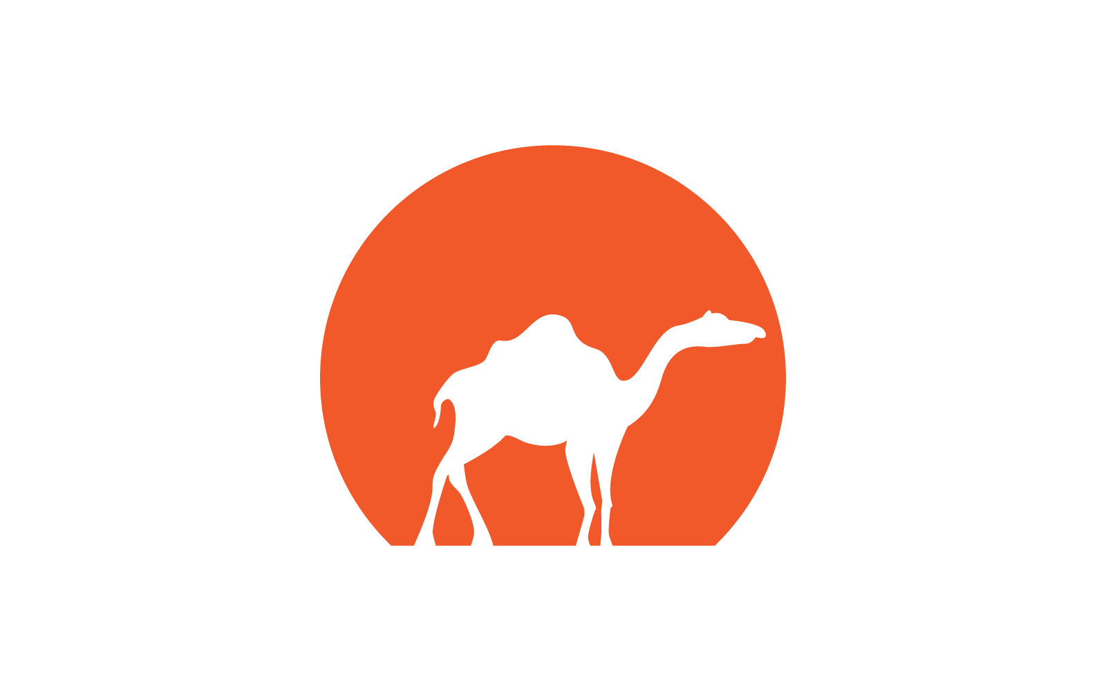 Camel design illustration vector template Logo Template