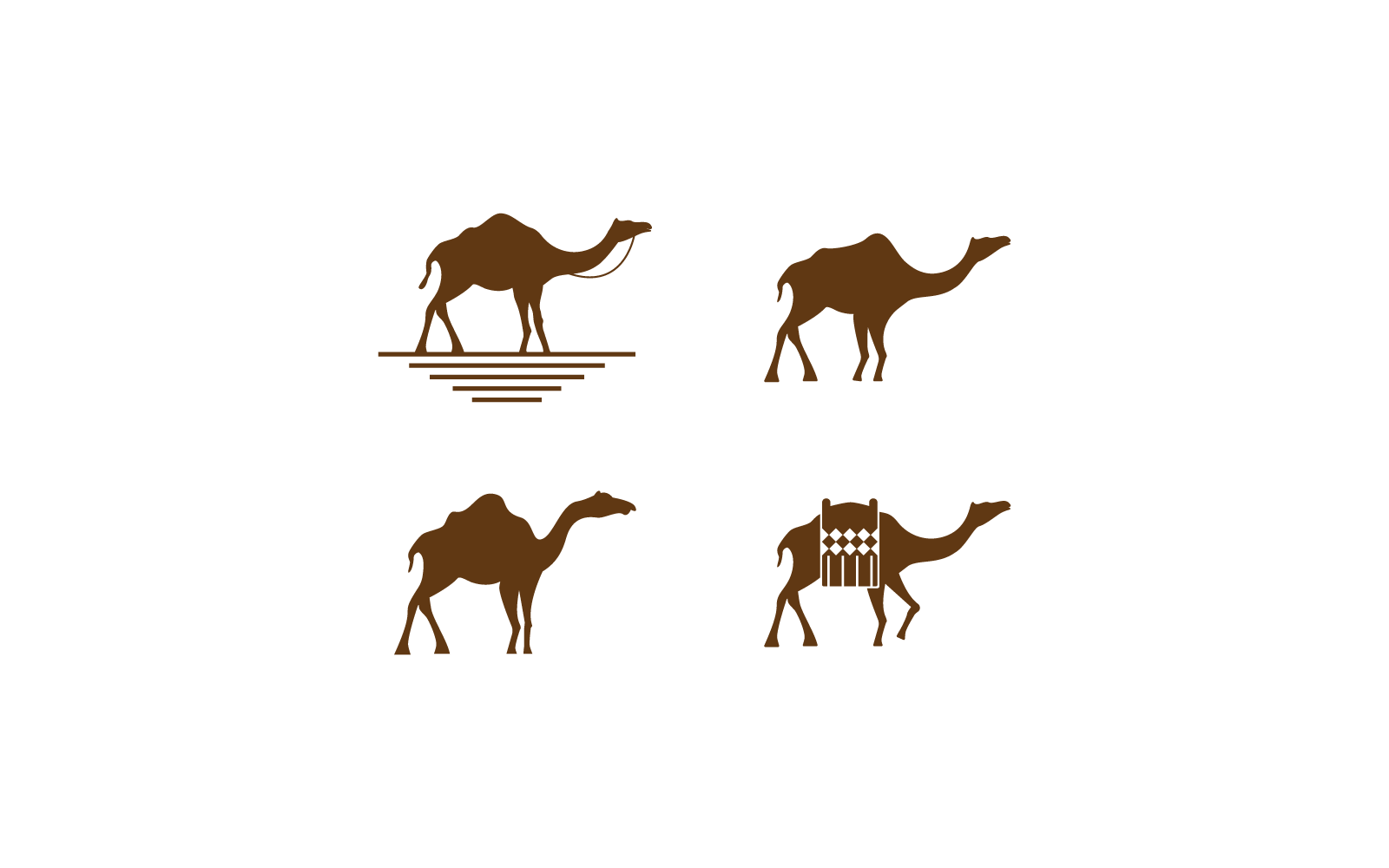 Camel illustration vector design logo template