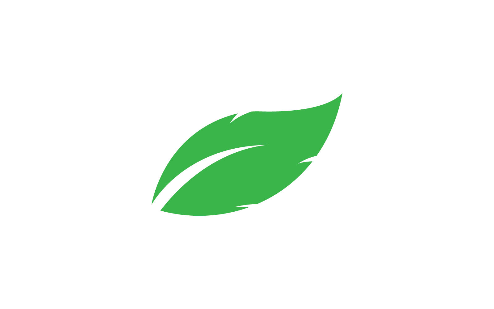 Green leaf design vector illustration nature Logo Template