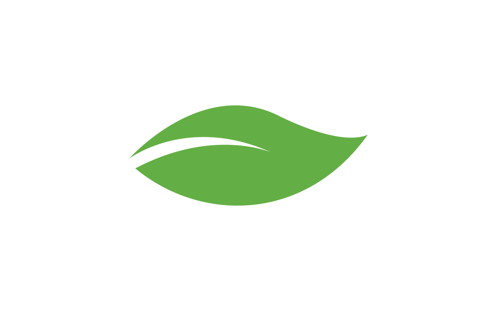 Green leaf logo flat design vector template