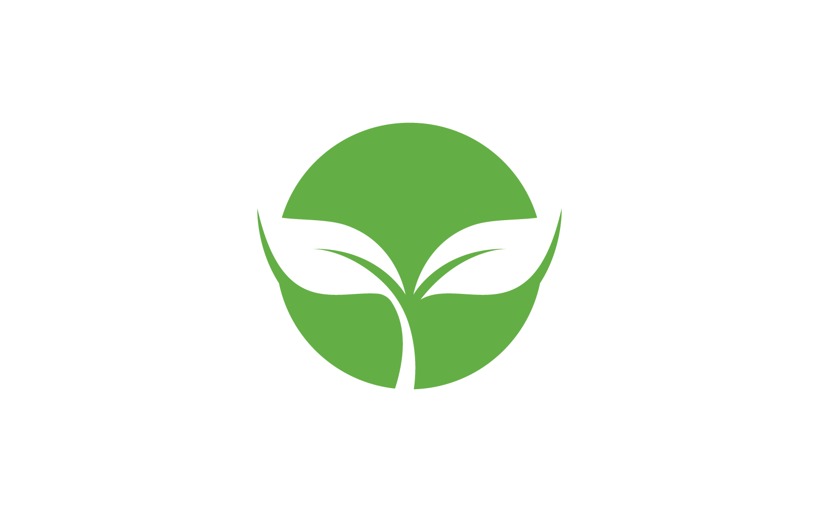 Grünes Blatt-Logo, Vektornatur, flaches Design