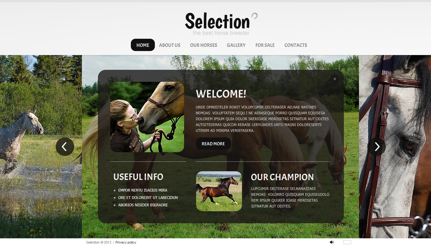 Horse Flash Template 40299