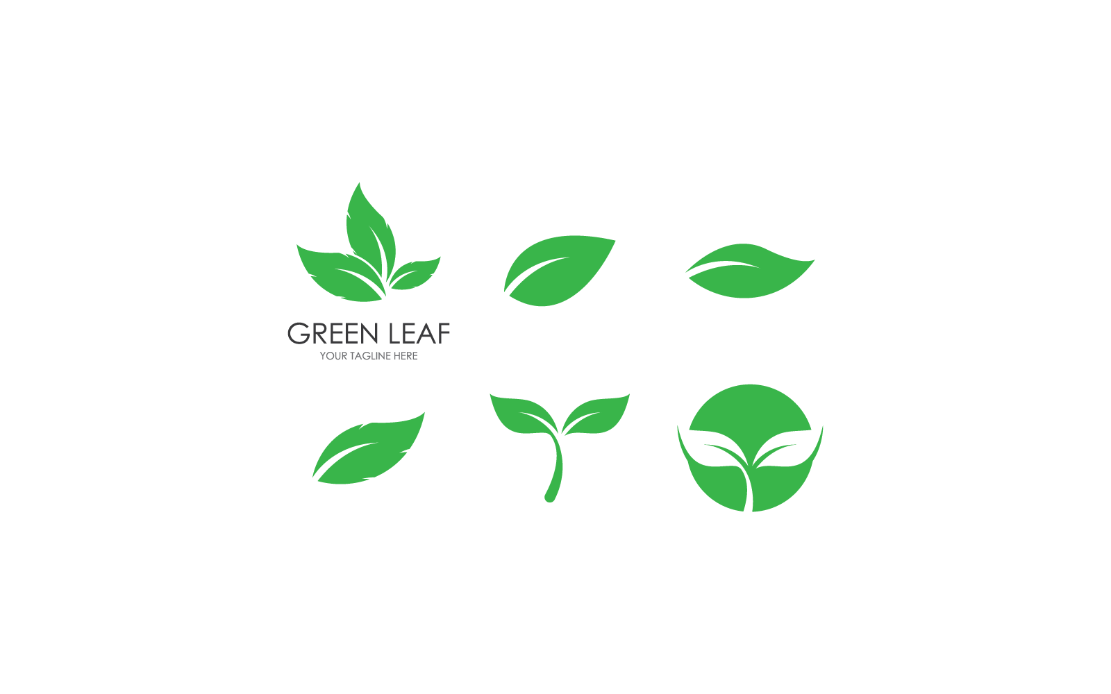 Green leaf nature illustration design vector Logo Template