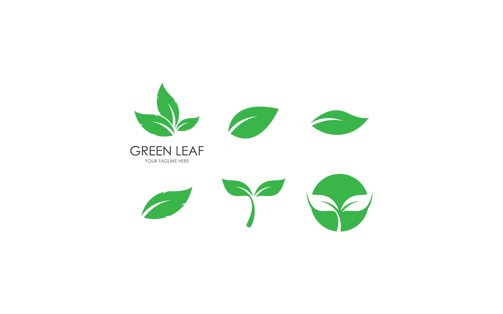 Grüner Blattnatur-Illustrationsdesign-Vektor