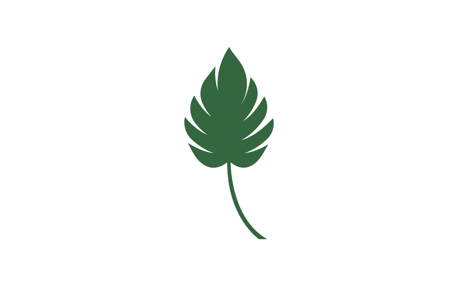Modello di design piatto vettoriale con logo Monstera Leaf