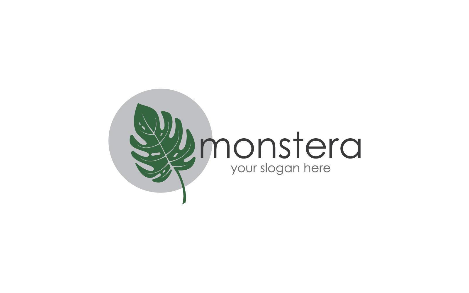 Monstera leaf logo flat design illustration template