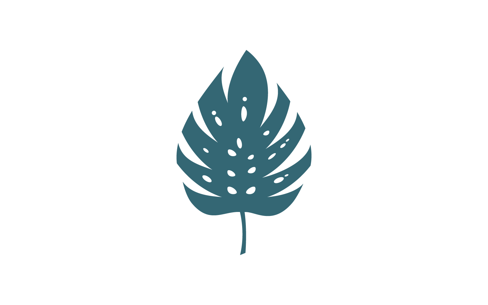 Monstera leaf logo vector design template