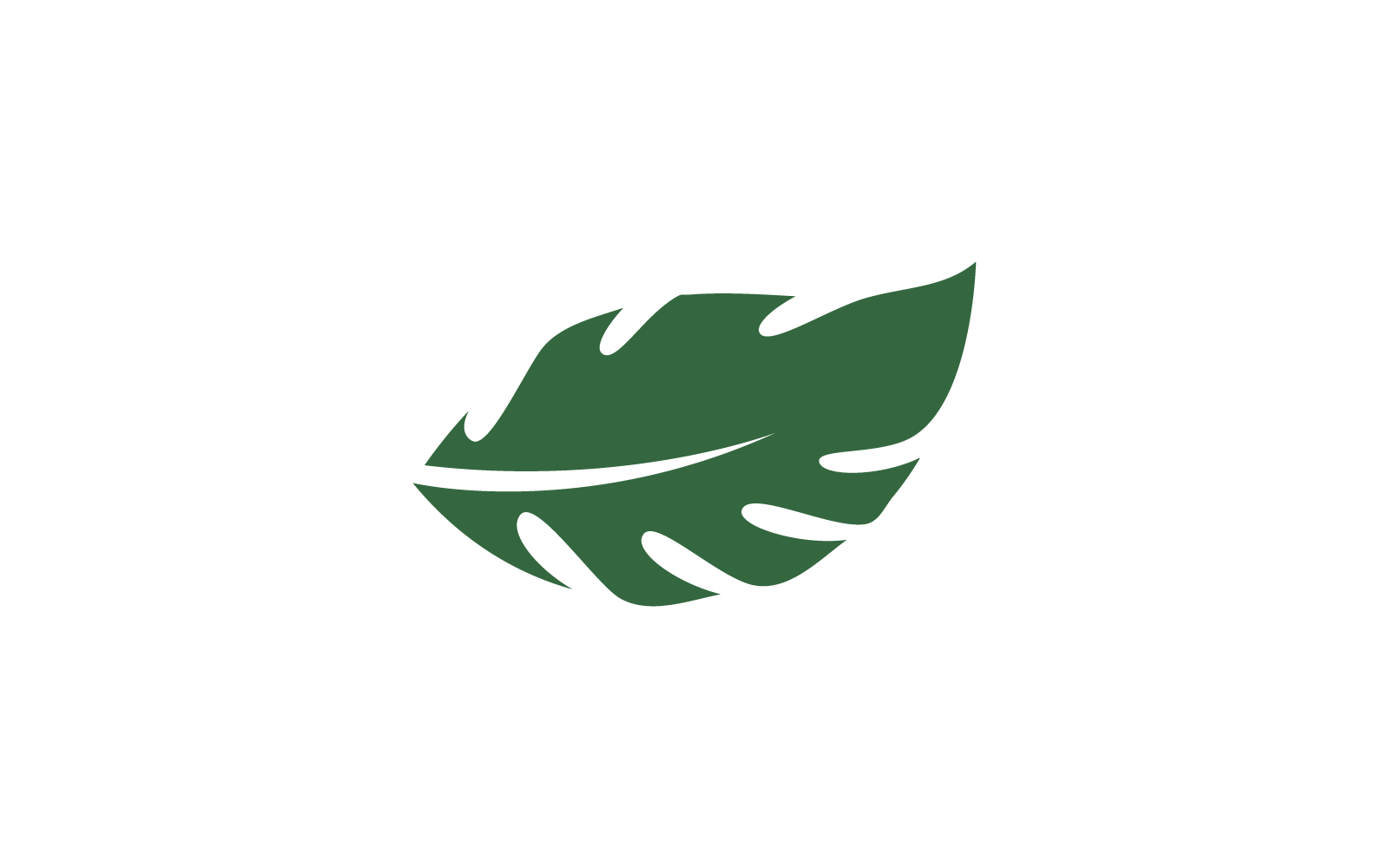 Monstera leaf logo vector illustration flat design template