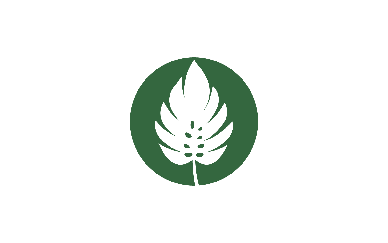 Monstera leaf logo vector template