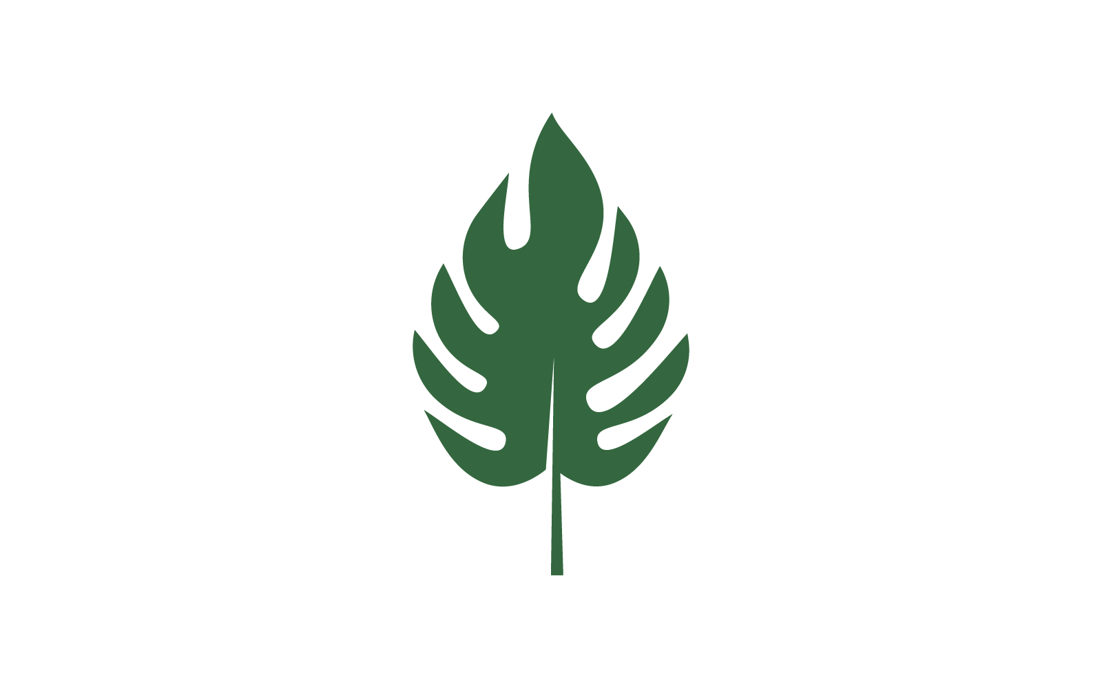 Monstera leaf logotyp platt formgivningsmall