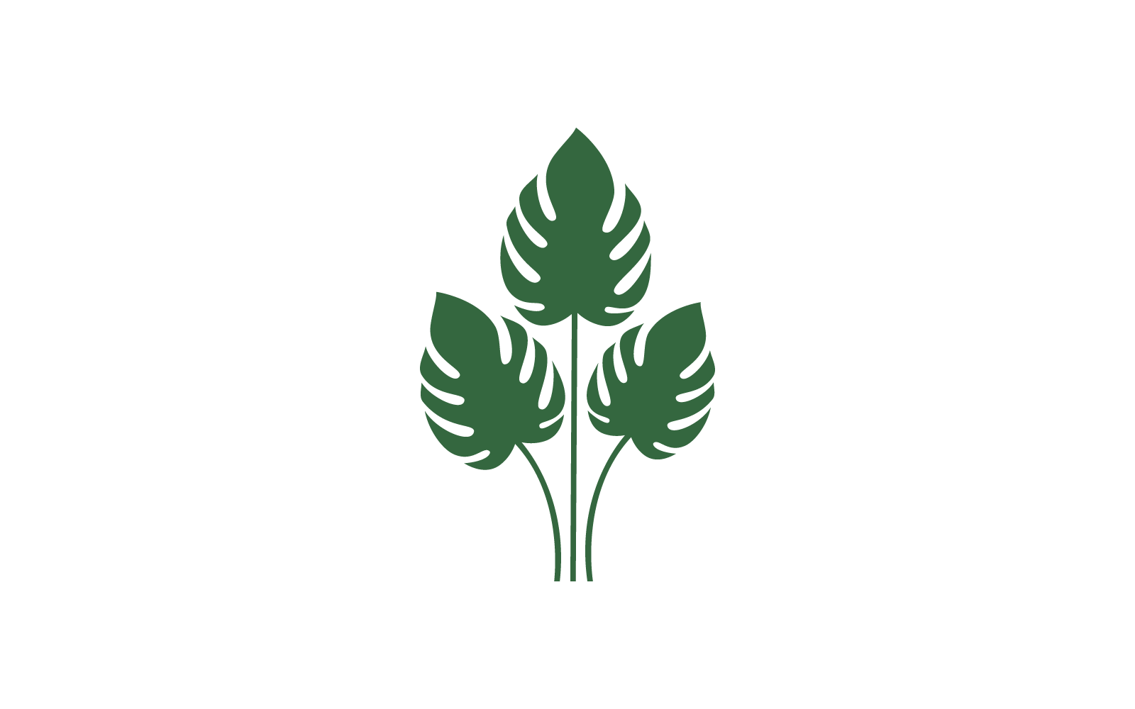 Monstera leaf vector logo icon flat design template