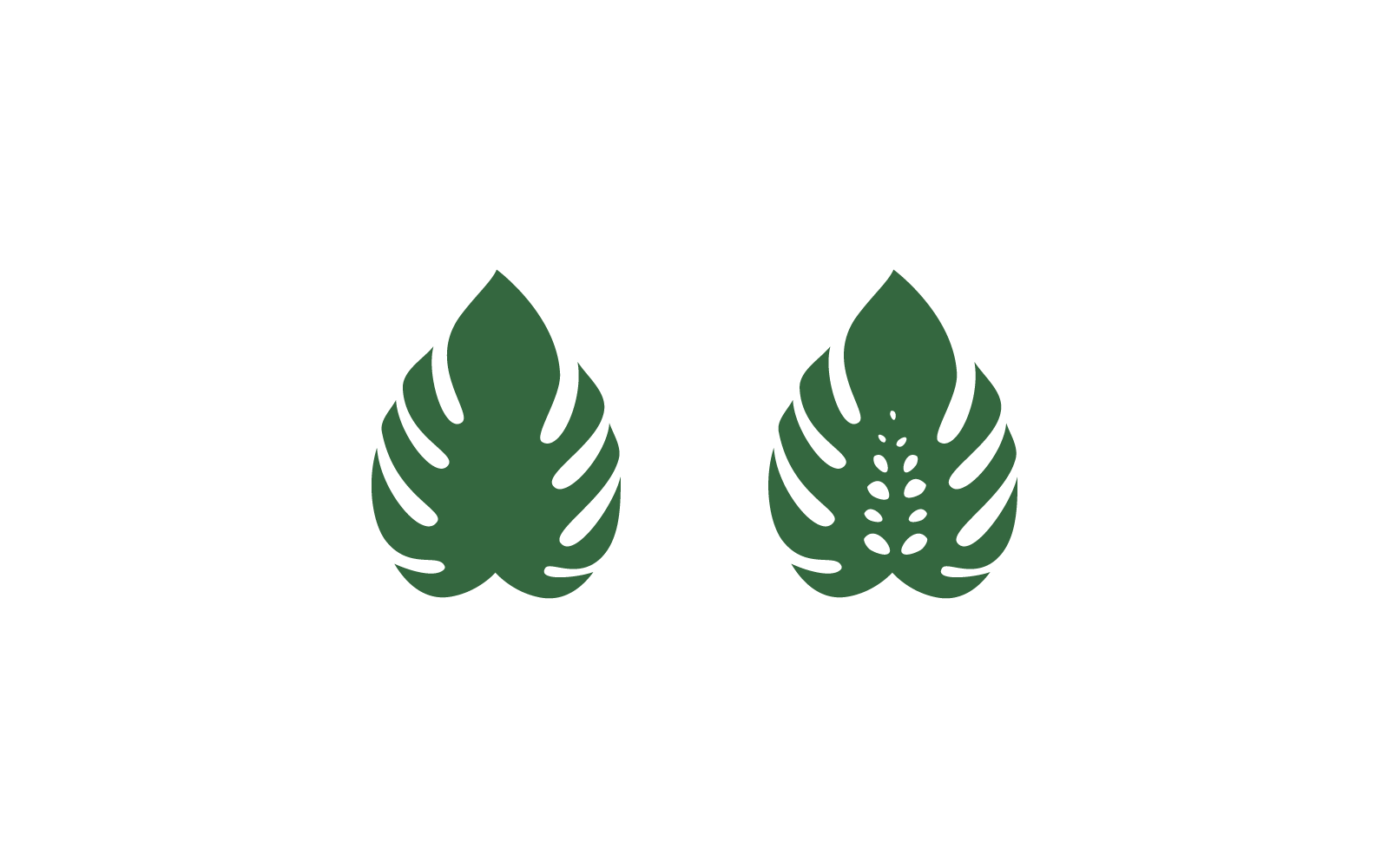 Monstera yaprak vektör düz tasarım logo şablonu
