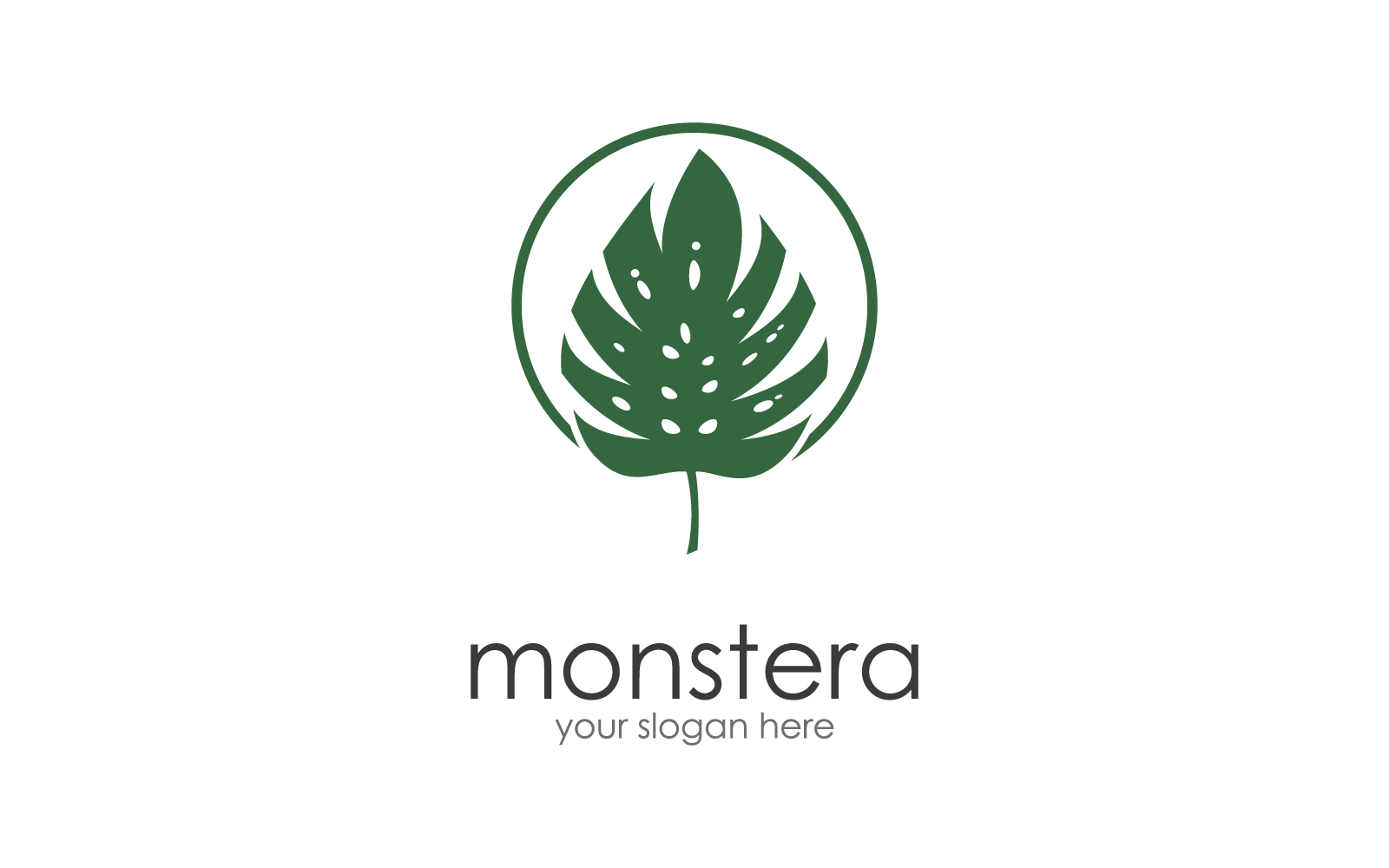 Monstera yaprak vektör logosu düz tasarım şablonu