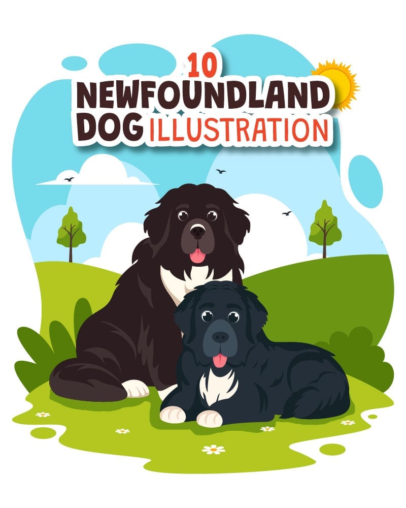 Kit Graphique #402441 Newfoundland Dog Divers Modles Web - Logo template Preview