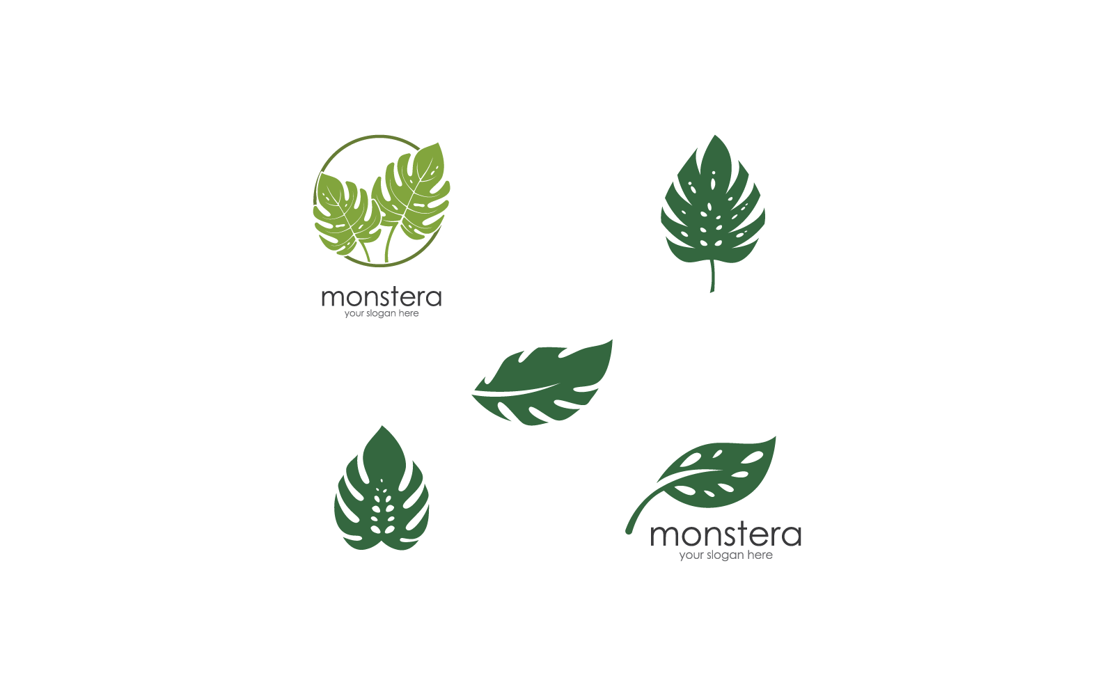 Monstera blad illustratie logo vector sjabloon