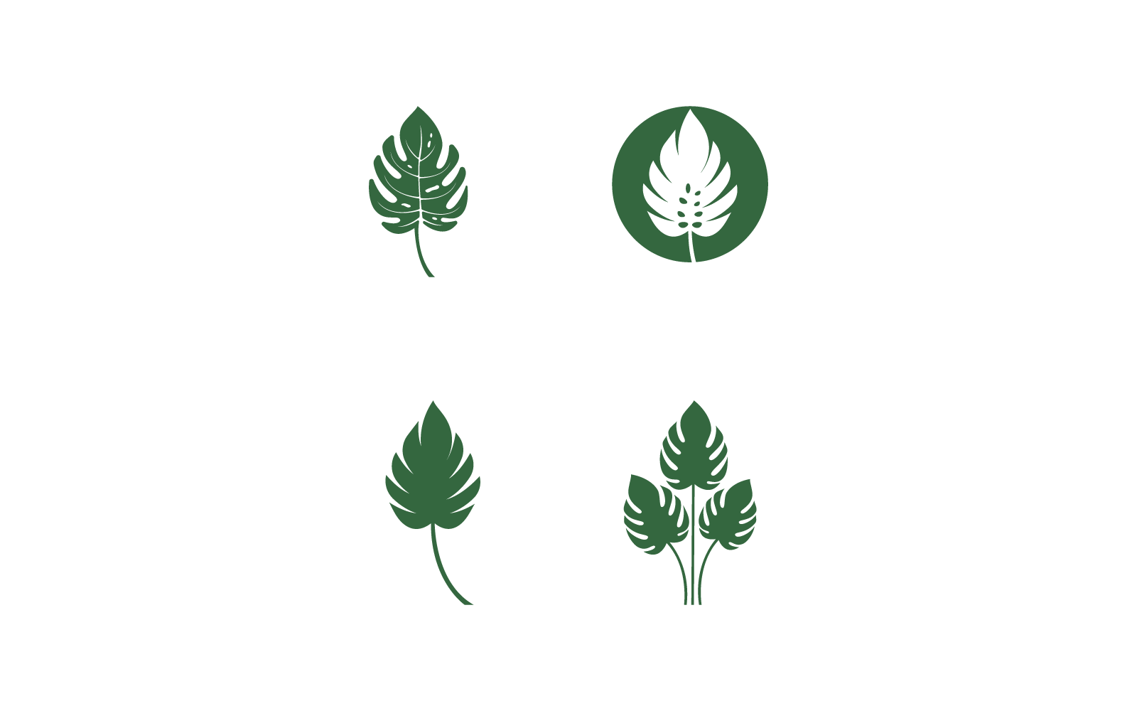 Monstera leaf design vector illustration template