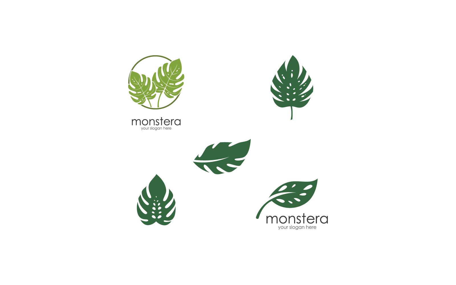Monstera leaf illustration logo vector template