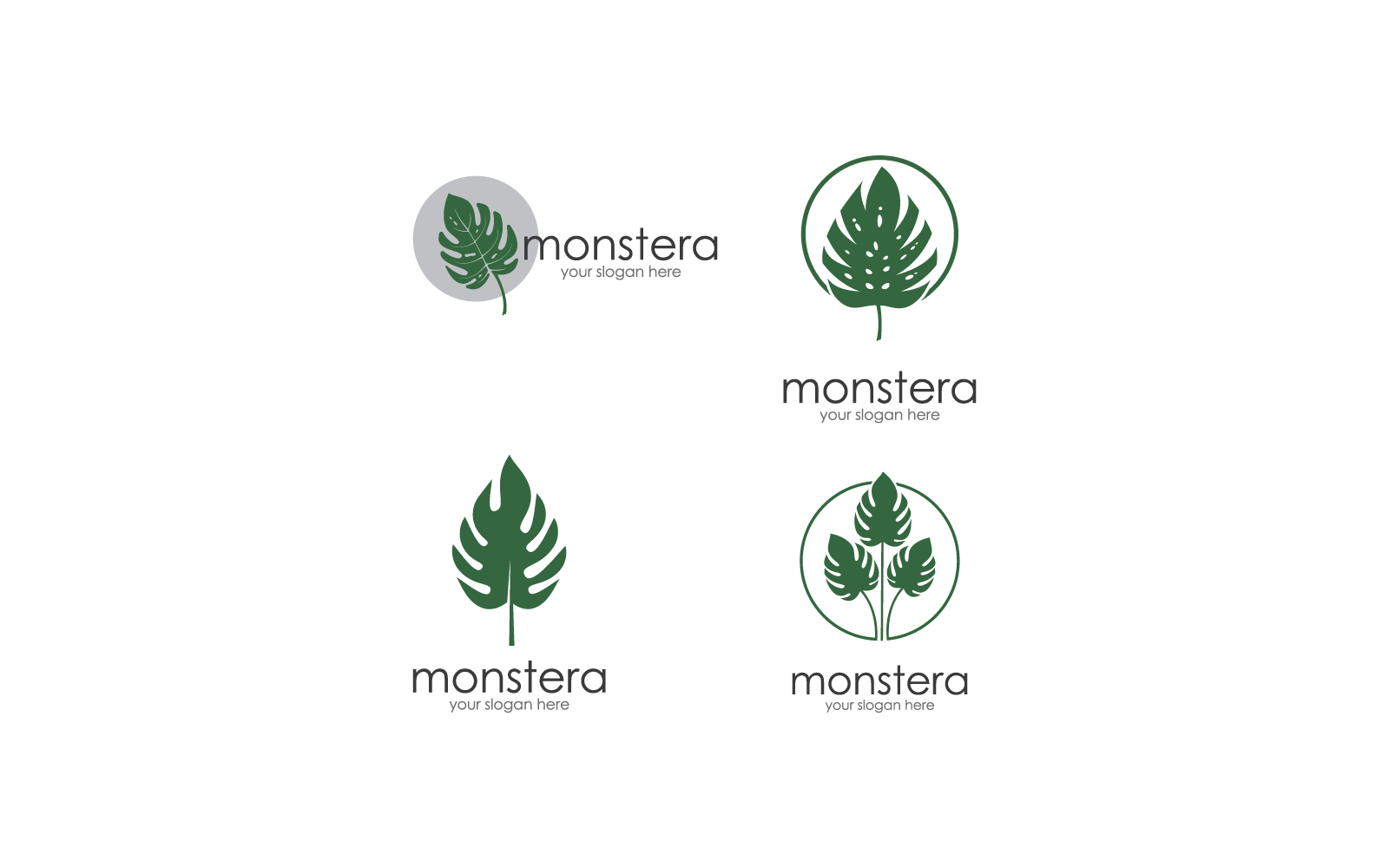 Monstera leaf logo vector illustration design template