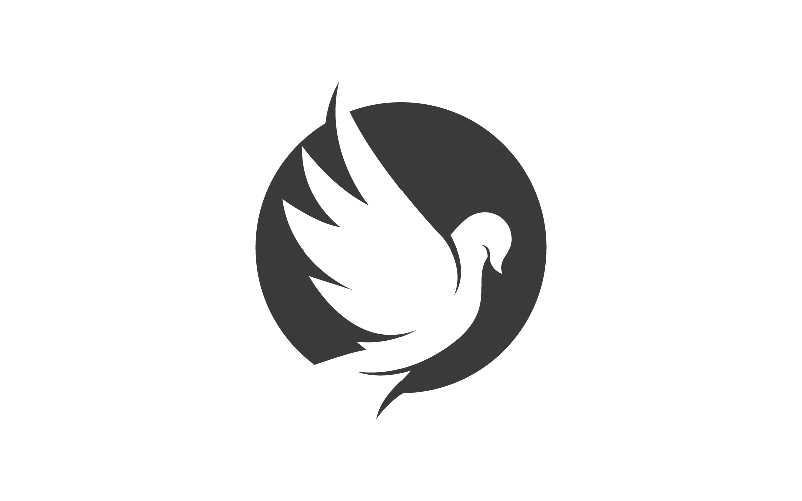 Dove bird logo vector design Logo Template