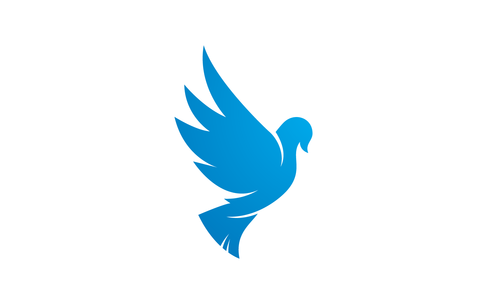 Dove bird logo vector illustration design