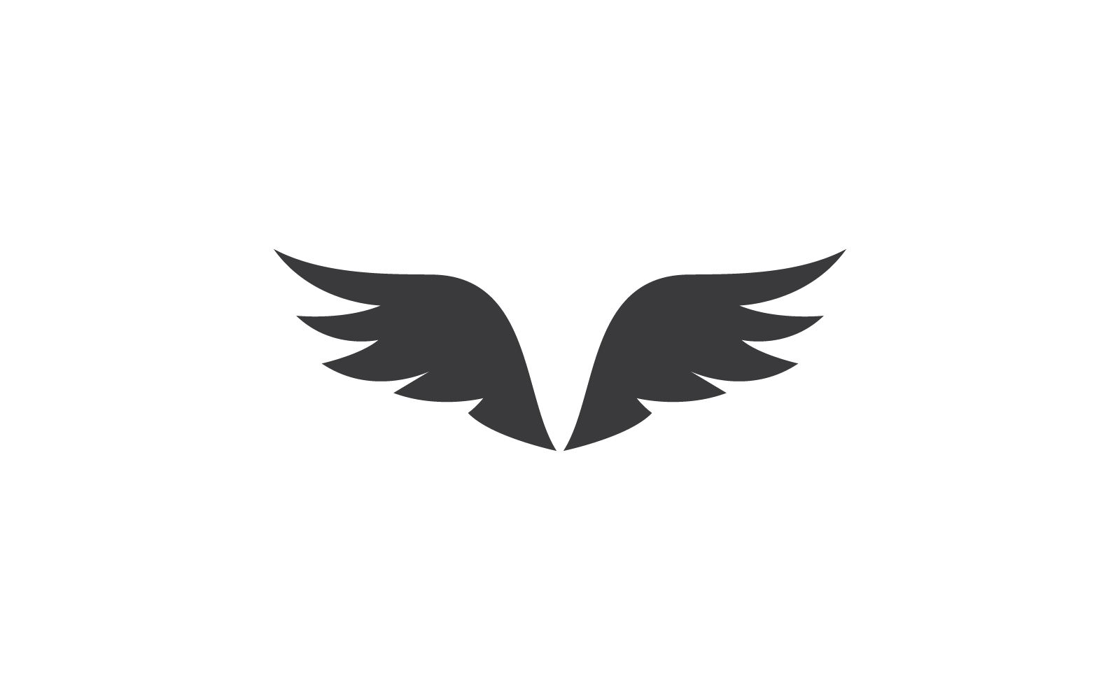 Wing illustration design logo icon vector flat design