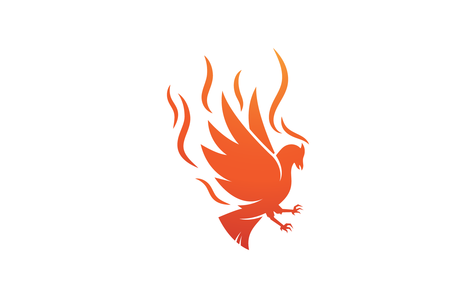 Phoenix fire bird logo template vector