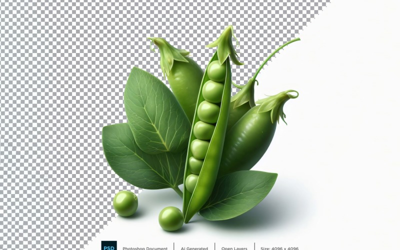 Peas Fresh Vegetable Transparent background 04 Vector Graphic