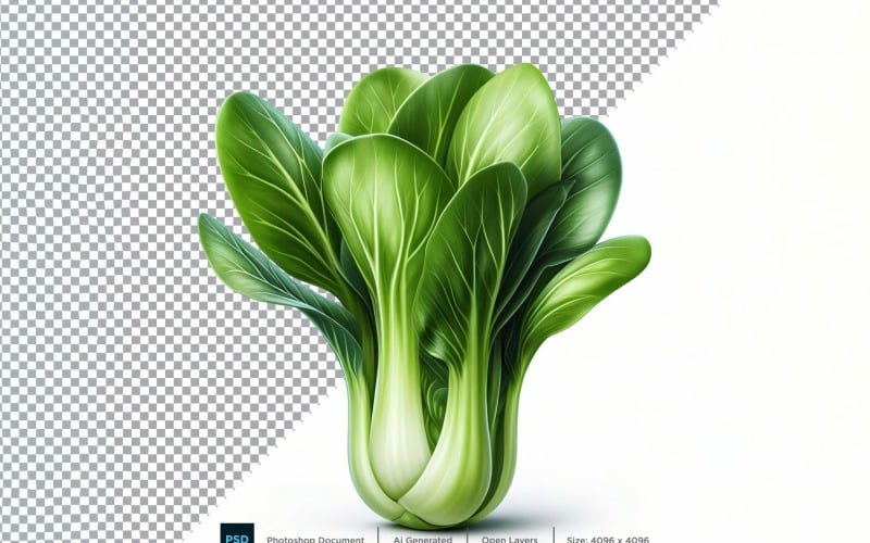 Bok Choy Fresh Vegetable Transparent background 01 Vector Graphic