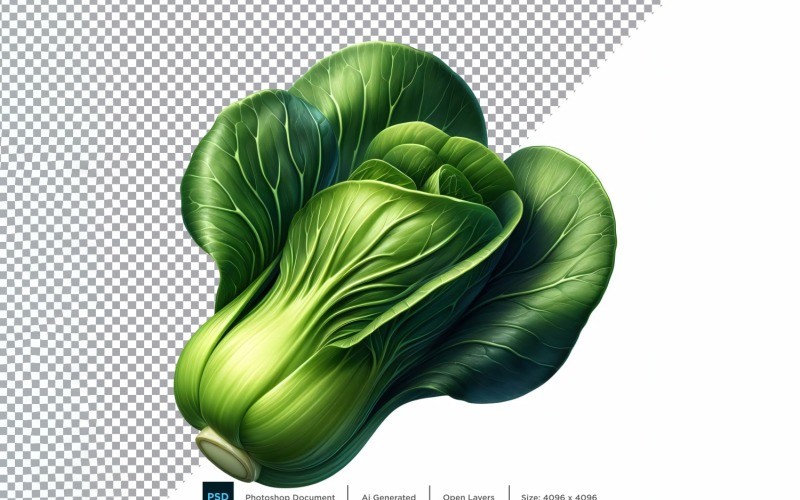 Bok Choy Fresh Vegetable Transparent background 02 Vector Graphic