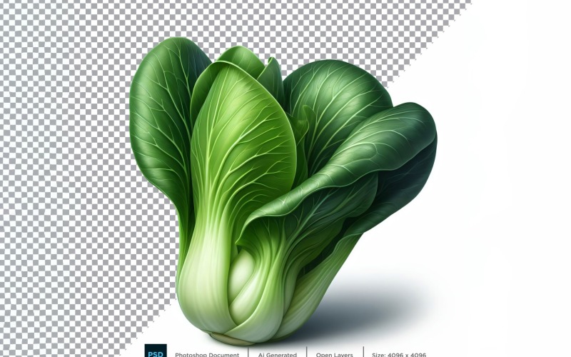 Bok Choy Fresh Vegetable Transparent background 03 Vector Graphic