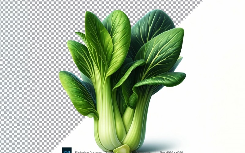 Bok Choy Fresh Vegetable Transparent background 07 Vector Graphic
