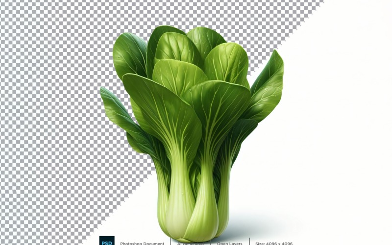 Bok Choy Fresh Vegetable Transparent background 08 Vector Graphic