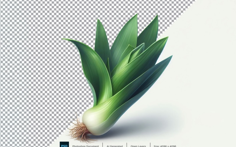 Leek Fresh Vegetable Transparent background 05 Vector Graphic