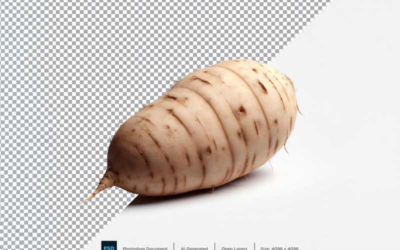 Yam Fresh Vegetable Transparent background 05 Vector Graphic