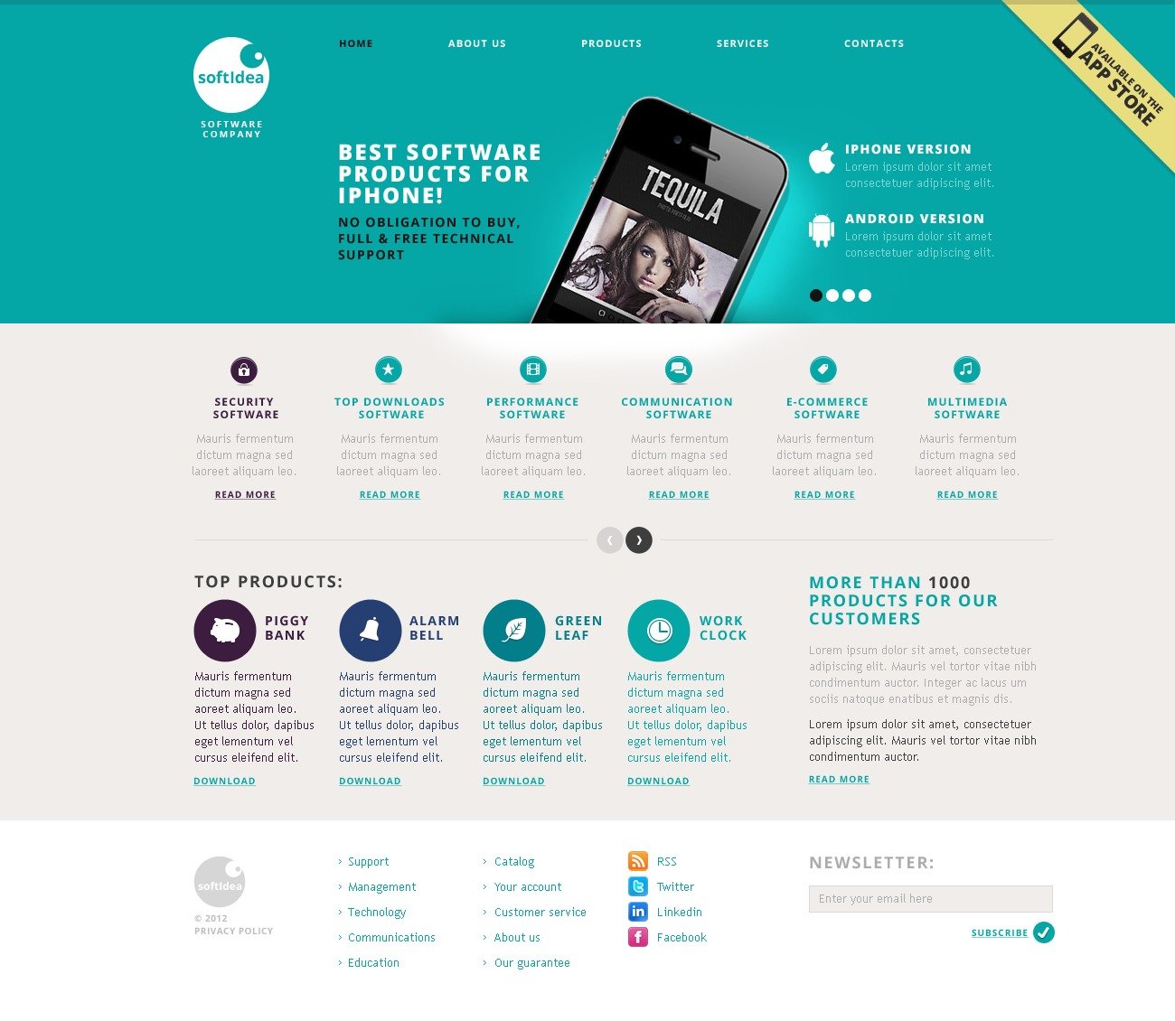 Software Company Website Template 40477