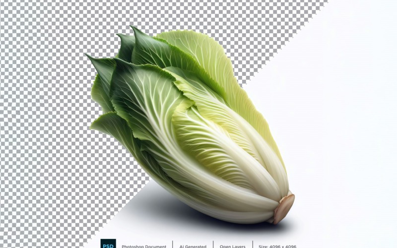 Endive Fresh Vegetable Transparent background 03 Vector Graphic