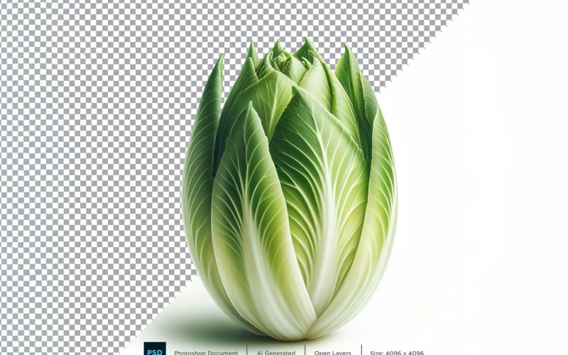 Endive Fresh Vegetable Transparent background 04 Vector Graphic