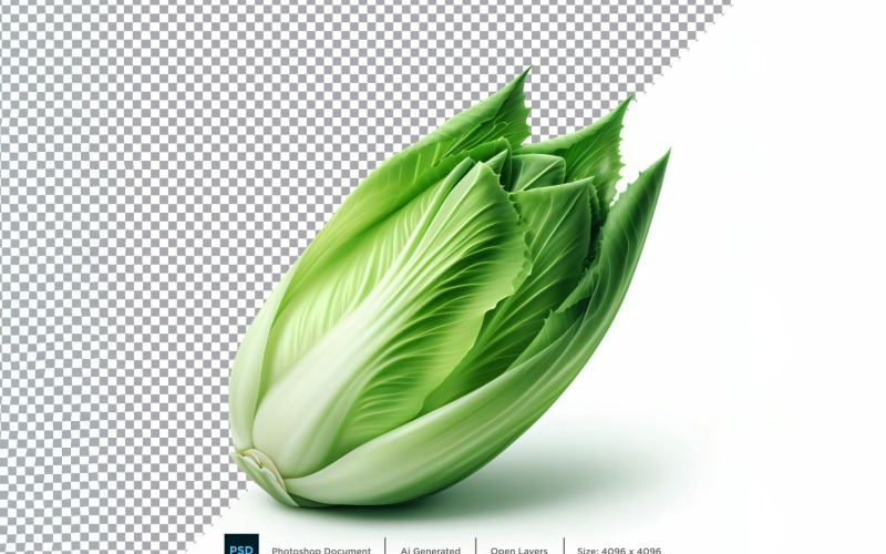 Endive Fresh Vegetable Transparent background 09 Vector Graphic