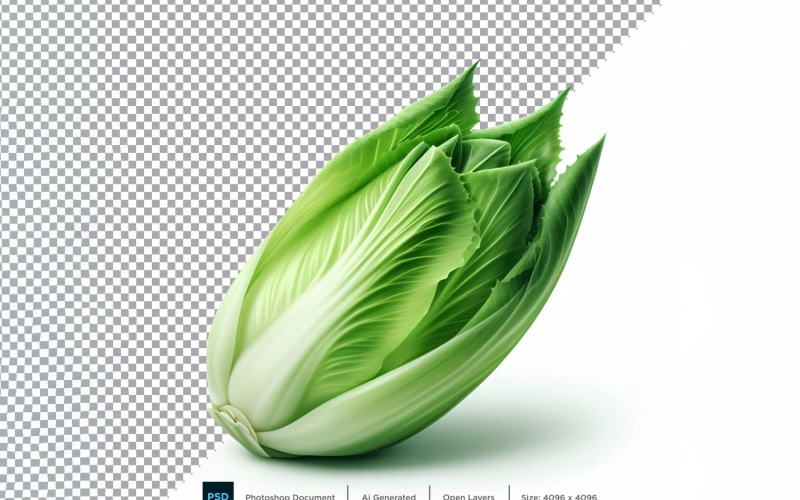 Endive Fresh Vegetable Transparent background 09 Vector Graphic